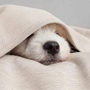 image:imageBedsure Celestial Blue Cooling Blanket for Hot Sleepers  Summer Cold Throw Blanket for Bed ArcChill Lightweight Summer Bedding Cool Thin Ice Cold Throws with Rayon Derived from Bamboo 50x7003 Oat Beige