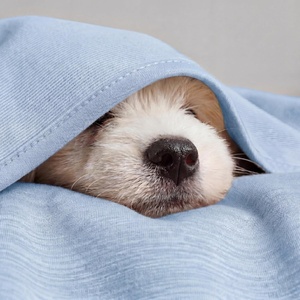 image:imageBedsure Celestial Blue Cooling Blanket for Hot Sleepers  Summer Cold Throw Blanket for Bed ArcChill Lightweight Summer Bedding Cool Thin Ice Cold Throws with Rayon Derived from Bamboo 50x7009 Light Blue
