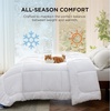 image:imageBedsure 2pk Pillows1 Comforter