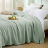 image:imageBedsure Cooling Blanket of Rayon Derived from Bamboo  Lightweight Breathable Cotton Summer Blankets Queen Size for Hot Sleepers Luxury Throws for Bed Couch and Sofa White 90x90 InchesGreen