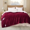 image:imageBedsure Heated Blanket Full Size Soft Electric Blanket with Preheat Grey  6 Heat6 Timer Settings 8H Auto ShutOff ETLFCC Flannel Sherpa Machine Washable Gifts for Grandma Grandpa 72x84in11  Burgundy