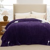 image:imageBedsure Heated Blanket Full Size Soft Electric Blanket with Preheat Grey  6 Heat6 Timer Settings 8H Auto ShutOff ETLFCC Flannel Sherpa Machine Washable Gifts for Grandma Grandpa 72x84in08  Purple
