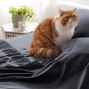 image:imageBedsure White King Size Mattress Pad Bundle King Size Sheets Grey