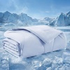 image:imageBedsure Cooling Mat35x23 amp Blanket 30x40 for Dogs Blue