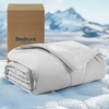image:imageBedsure Cooling Mat35x23 amp Blanket 30x40 for Dogs Grey