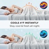 image:imageBedsure Get Free 1 Pillows When You purches 1 Comforter