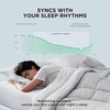 image:imageBedsure Get a Free 2Pack of Bed Pillows When You Buy a Cooling Comforter