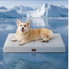 image:imageBedsure Orthopedic Cooling Dog Bed for Crate  35x22 Inches Cooling Blanket for Small Dogs with Breathable AirCore Fill QMAXgt04 Pearl Grey 25x35