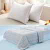 image:imageBedsure Get a Free 2Pack of Bed Pillows When You Buy a Cooling Comforter