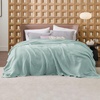 image:imageBedsure 100 Cotton Teal Blanket Queen Size for Bed  Cooling Breathable and Soft for Summer Thick Cozy Waffle Weave Blanket Gifts for Women 90x90 Inches14 Mint