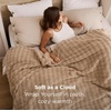 image:imageBedsure 3D Fleece Bubble Blanket for Couch  GentleSoft Green Spring Throw Blanket for Sofa Bed Home Decor  Luxury Soft Cozy Gifts for Women Lightweight All Seasons Sage Green5060Khaki