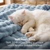 image:imageBedsure 3D Fleece Bubble Blanket for Couch  GentleSoft Green Spring Throw Blanket for Sofa Bed Home Decor  Luxury Soft Cozy Gifts for Women Lightweight All Seasons Sage Green506003 Celestial Blue