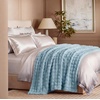 image:imageBedsure 3D Fleece Bubble Blanket for Couch  GentleSoft Green Spring Throw Blanket for Sofa Bed Home Decor  Luxury Soft Cozy Gifts for Women Lightweight All Seasons Sage Green5060Light Blue