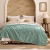image:imageBedsure 3D Fleece Bubble Blanket for Couch  GentleSoft Green Spring Throw Blanket for Sofa Bed Home Decor  Luxury Soft Cozy Gifts for Women Lightweight All Seasons Sage Green506005 Sage Green