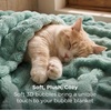 image:imageBedsure 3D Fleece Bubble Blanket for Couch  GentleSoft Green Spring Throw Blanket for Sofa Bed Home Decor  Luxury Soft Cozy Gifts for Women Lightweight All Seasons Sage Green506005 Sage Green
