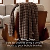 image:imageBedsure 3D Fleece Bubble Blanket for Couch  GentleSoft Green Spring Throw Blanket for Sofa Bed Home Decor  Luxury Soft Cozy Gifts for Women Lightweight All Seasons Sage Green5060Brown