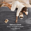 image:imageBedsure 3D Fleece Bubble Blanket for Couch  GentleSoft Green Spring Throw Blanket for Sofa Bed Home Decor  Luxury Soft Cozy Gifts for Women Lightweight All Seasons Sage Green506007 Grey