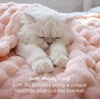 image:imageBedsure 3D Fleece Bubble Blanket for Couch  GentleSoft Green Spring Throw Blanket for Sofa Bed Home Decor  Luxury Soft Cozy Gifts for Women Lightweight All Seasons Sage Green506002 Light Pink