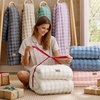 image:imageBedsure 3D Fleece Bubble Blanket for Couch  GentleSoft Green Spring Throw Blanket for Sofa Bed Home Decor  Luxury Soft Cozy Gifts for Women Lightweight All Seasons Sage Green506004 Beige