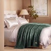 image:imageBedsure 3D Fleece Bubble Blanket for Couch  GentleSoft Green Spring Throw Blanket for Sofa Bed Home Decor  Luxury Soft Cozy Gifts for Women Lightweight All Seasons Sage Green5060Dark Green
