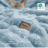 image:imageBedsure 3D Fleece Bubble Blanket for Couch  GentleSoft Green Spring Throw Blanket for Sofa Bed Home Decor  Luxury Soft Cozy Gifts for Women Lightweight All Seasons Sage Green5060Light Blue