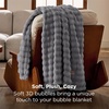 image:imageBedsure 3D Fleece Bubble Blanket for Couch  GentleSoft Green Spring Throw Blanket for Sofa Bed Home Decor  Luxury Soft Cozy Gifts for Women Lightweight All Seasons Sage Green506007 Grey
