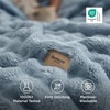 image:imageBedsure 3D Fleece Bubble Blanket for Couch  GentleSoft Green Spring Throw Blanket for Sofa Bed Home Decor  Luxury Soft Cozy Gifts for Women Lightweight All Seasons Sage Green506003 Celestial Blue