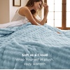 image:imageBedsure 3D Fleece Bubble Blanket for Couch  GentleSoft Green Spring Throw Blanket for Sofa Bed Home Decor  Luxury Soft Cozy Gifts for Women Lightweight All Seasons Sage Green5060Light Blue