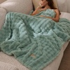 image:imageBedsure 3D Fleece Bubble Blanket for Couch  GentleSoft Green Spring Throw Blanket for Sofa Bed Home Decor  Luxury Soft Cozy Gifts for Women Lightweight All Seasons Sage Green506005 Sage Green