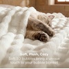 image:imageBedsure 3D Fleece Bubble Blanket for Couch  GentleSoft Green Spring Throw Blanket for Sofa Bed Home Decor  Luxury Soft Cozy Gifts for Women Lightweight All Seasons Sage Green506001 Off White