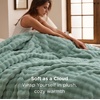 image:imageBedsure 3D Fleece Bubble Blanket for Couch  GentleSoft Green Spring Throw Blanket for Sofa Bed Home Decor  Luxury Soft Cozy Gifts for Women Lightweight All Seasons Sage Green506005 Sage Green