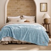 image:imageBedsure 3D Fleece Bubble Blanket for Couch  GentleSoft Green Spring Throw Blanket for Sofa Bed Home Decor  Luxury Soft Cozy Gifts for Women Lightweight All Seasons Sage Green5060Light Blue