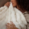 image:imageBedsure 3D Fleece Bubble Blanket for Couch  GentleSoft Green Spring Throw Blanket for Sofa Bed Home Decor  Luxury Soft Cozy Gifts for Women Lightweight All Seasons Sage Green506001 Off White