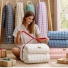 image:imageBedsure 3D Fleece Bubble Blanket for Couch  GentleSoft Green Spring Throw Blanket for Sofa Bed Home Decor  Luxury Soft Cozy Gifts for Women Lightweight All Seasons Sage Green506004 Beige