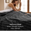 image:imageBedsure 3D Fleece Bubble Blanket for Couch  GentleSoft Green Spring Throw Blanket for Sofa Bed Home Decor  Luxury Soft Cozy Gifts for Women Lightweight All Seasons Sage Green5060Dark Grey
