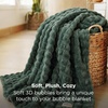 image:imageBedsure 3D Fleece Bubble Blanket for Couch  GentleSoft Green Spring Throw Blanket for Sofa Bed Home Decor  Luxury Soft Cozy Gifts for Women Lightweight All Seasons Sage Green5060Dark Green