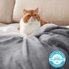 image:imageBedsure GentleSoft Sherpa Fleece Throw Blanket for Couch NonHeated Thick and Warm Throw for Women and Men Soft Fuzzy Plush Blanket for Fall Burnt Orange 50x60 Inches01  Grey
