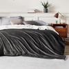 image:imageBedsure GentleSoft Sherpa Fleece Throw Blanket for Couch NonHeated Thick and Warm Throw for Women and Men Soft Fuzzy Plush Blanket for Fall Burnt Orange 50x60 Inches02  Charcoal
