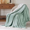 image:imageBedsure GentleSoft Sherpa Fleece Throw Blanket for Couch NonHeated Thick and Warm Throw for Women and Men Soft Fuzzy Plush Blanket for Fall Burnt Orange 50x60 Inches04  Sage Green
