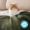 image:imageBedsure GentleSoft Sherpa Fleece Throw Blanket for Couch NonHeated Thick and Warm Throw for Women and Men Soft Fuzzy Plush Blanket for Fall Burnt Orange 50x60 Inches04  Olive Green
