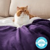 image:imageBedsure GentleSoft Sherpa Fleece Throw Blanket for Couch NonHeated Thick and Warm Throw for Women and Men Soft Fuzzy Plush Blanket for Fall Burnt Orange 50x60 Inches08  Purple