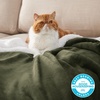 image:imageBedsure GentleSoft Sherpa Fleece Throw Blanket for Couch NonHeated Thick and Warm Throw for Women and Men Soft Fuzzy Plush Blanket for Fall Burnt Orange 50x60 Inches04  Olive Green