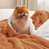 image:imageBedsure GentleSoft Sherpa Fleece Throw Blanket for Couch NonHeated Thick and Warm Throw for Women and Men Soft Fuzzy Plush Blanket for Fall Burnt Orange 50x60 Inches09 Burnt Orange