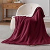 image:imageBedsure GentleSoft Sherpa Fleece Throw Blanket for Couch NonHeated Thick and Warm Throw for Women and Men Soft Fuzzy Plush Blanket for Fall Burnt Orange 50x60 Inches07  Burgundy