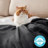 image:imageBedsure GentleSoft Sherpa Fleece Throw Blanket for Couch NonHeated Thick and Warm Throw for Women and Men Soft Fuzzy Plush Blanket for Fall Burnt Orange 50x60 Inches02  Charcoal