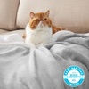 image:imageBedsure GentleSoft Sherpa Fleece Throw Blanket for Couch NonHeated Thick and Warm Throw for Women and Men Soft Fuzzy Plush Blanket for Fall Burnt Orange 50x60 Inches02  Light Grey