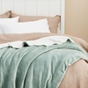 image:imageBedsure GentleSoft Sherpa Fleece Throw Blanket for Couch NonHeated Thick and Warm Throw for Women and Men Soft Fuzzy Plush Blanket for Fall Burnt Orange 50x60 Inches04  Sage Green
