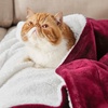 image:imageBedsure GentleSoft Sherpa Fleece Throw Blanket for Couch NonHeated Thick and Warm Throw for Women and Men Soft Fuzzy Plush Blanket for Fall Burnt Orange 50x60 Inches07  Red