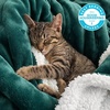 image:imageBedsure GentleSoft Sherpa Fleece Throw Blanket for Couch NonHeated Thick and Warm Throw for Women and Men Soft Fuzzy Plush Blanket for Fall Burnt Orange 50x60 Inches04  Forest Green