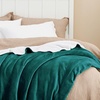 image:imageBedsure GentleSoft Sherpa Fleece Throw Blanket for Couch NonHeated Thick and Warm Throw for Women and Men Soft Fuzzy Plush Blanket for Fall Burnt Orange 50x60 Inches04  Forest Green